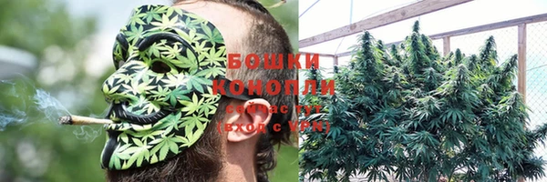 ALPHA PVP Осинники