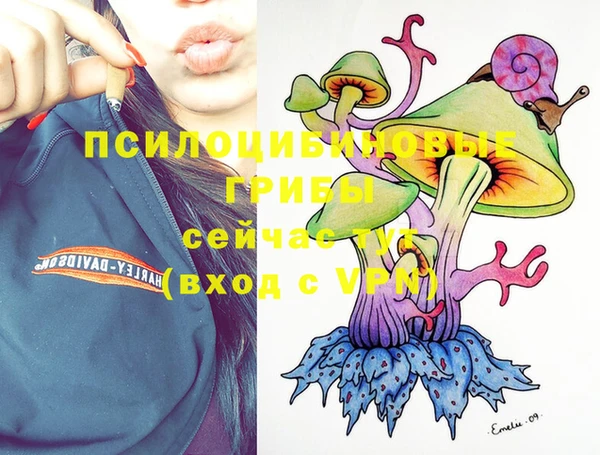 кокс Алексеевка