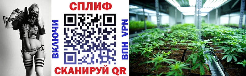 Каннабис THC 21%  hydra tor  Амурск 